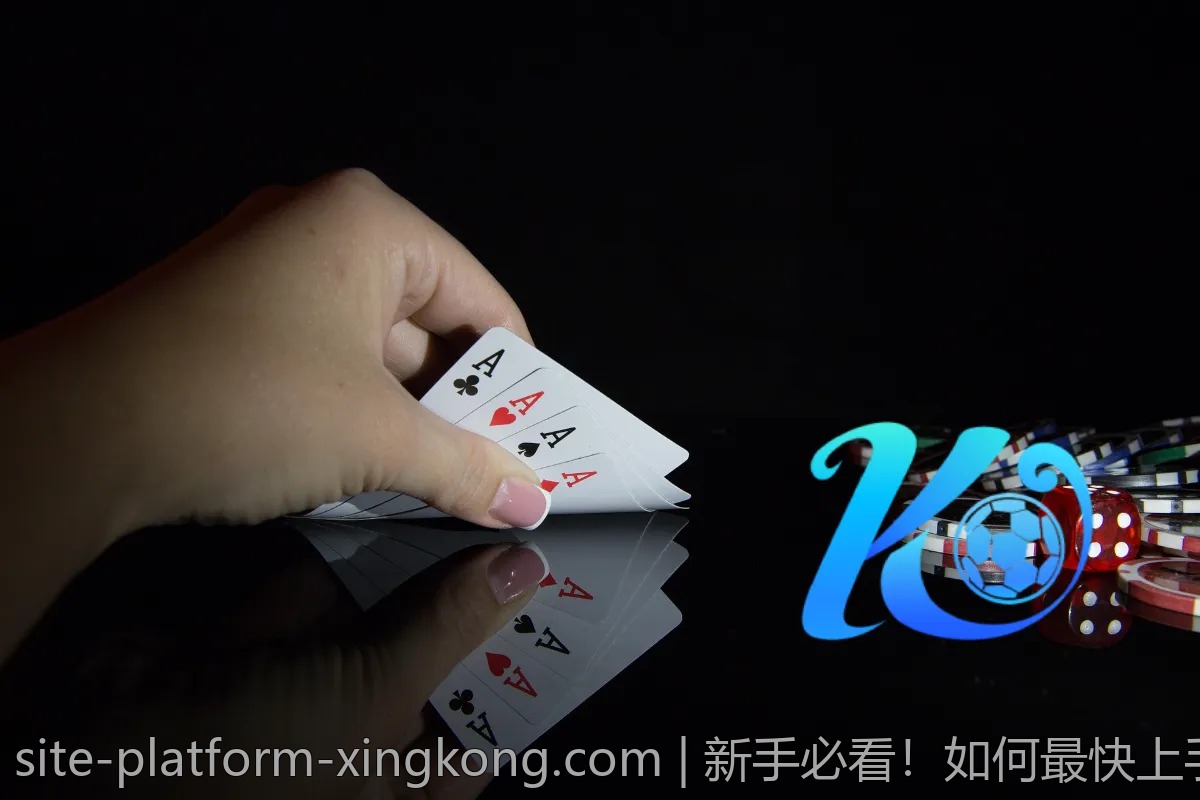 新手必看！如何最快上手星空体育观看？