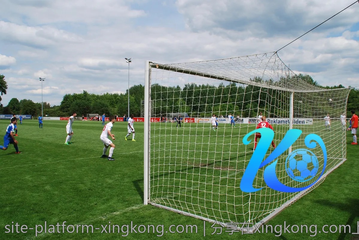 分享在xingkong.com上收获的宝贵经验！